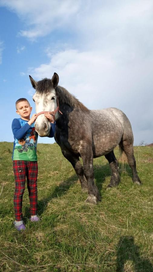 Domki W Bieszczadzkiej Dolinie Ustrzyki Dolne Luaran gambar