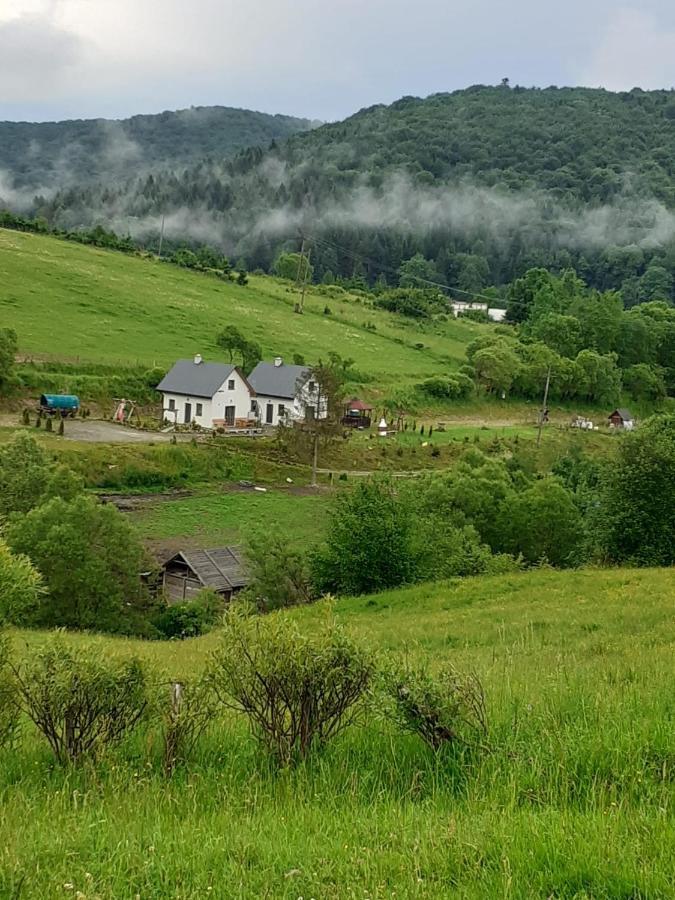 Domki W Bieszczadzkiej Dolinie Ustrzyki Dolne Luaran gambar